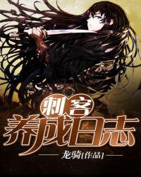 刺客心得