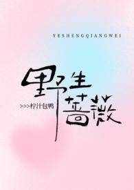 野生蔷薇(现言1v1)作者柠汁包鸭