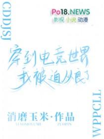 穿到电竞世界后我被迫从良了 消磨玉米