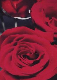 双柱缚绳结捆扎术的实用性和重要性