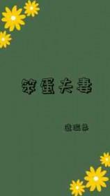 笨蛋加笨蛋是什么