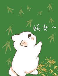 穿越成合欢宗宗主 女配