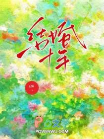 结婚十年图片