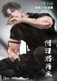 何日君再来徐小凤