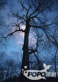 观察者 科幻世界