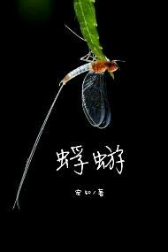 蜉蝣撼大树