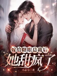 嫁给了瞎子是什么