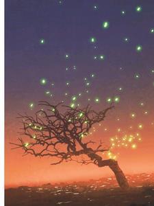 紫微斗数教学视频