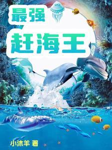 最强赶海王列表