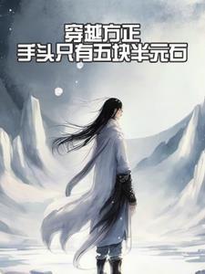 穿越方正手头只有五块半元石