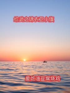 综武侠论锦衣卫