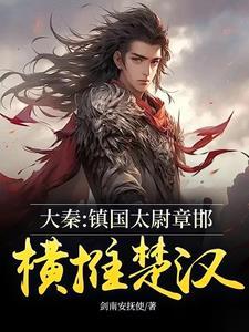 大秦镇国太尉章邯横推楚汉 剑南安抚使