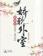 我成了新帝的娇软外室晋江