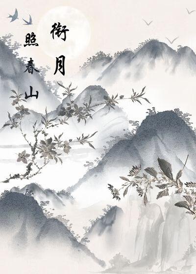 月照春山是正规机构吗