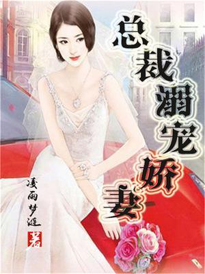 总裁溺宠娇妻 凌语梦涟