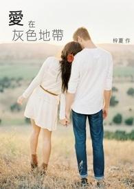 灰色地带是什么职业