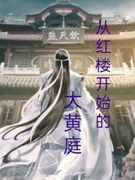 从红楼开始的大黄庭第96章