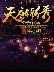 天唐锦绣选书网