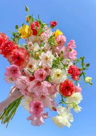 她是一朵难养的花（兄妹h）