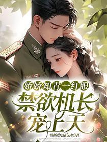 娇娇知青一红眼,禁欲机长宠上天